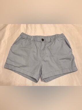 NWOT men’s CHUBBIES Original Stretch Light Blue Shorts. Size Large. 4” inseam